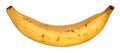 A plantain banana Royalty Free Stock Photo