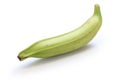 Plantain banana Royalty Free Stock Photo