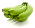 Plantain green banana isolated Royalty Free Stock Photo