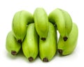 Plantain green banana isolated