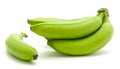 Plantain green banana isolated Royalty Free Stock Photo