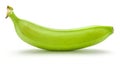 Plantain green banana isolated Royalty Free Stock Photo