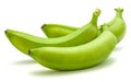 Plantain green banana isolated