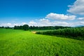 Plantation in Bavaria