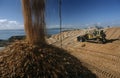 Plantation Eucalyptus (bluegum) trees being woodchipped for export Royalty Free Stock Photo