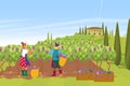 Plantation french provence wine production, farmer harvesting grape fruit berry, european farmhouse flat vector