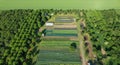 Plantation fruit tree apple bio farmer field farming vegetable agricultural farm garden orchard dron aerial video shot