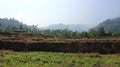 plantation land with a mountainous background