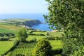 Plantation in Porto Formoso