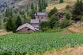 Plantations in Ransol, Andorra