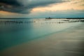 Plantations of seaweed, Algae at low tide