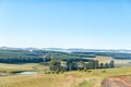 Plantations at Tortoni near Maclear in the Eastern Cape Royalty Free Stock Photo