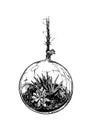 Planted houseplants in suspension glass ball set