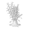 Planted tree trunk Sketch hand drawn vector Royalty Free Stock Photo