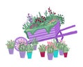 Planted trolley and set of a potted plants, flowers and grass. Vector isolated illustration