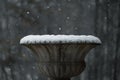 Planter covered in Snow