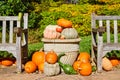 Planter filled with pumpkins and gourds for fall between two benches Royalty Free Stock Photo