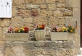 Planters with colourful flowers Royalty Free Stock Photo
