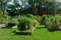 Planters at a Community Garden in University Village in Chicago