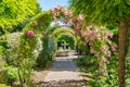 Planting arches with pink blooming roses and climbing plants on a garden path with a water founta at the end Royalty Free Stock Photo