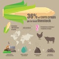 Planting crops used to feed livestock