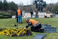 Planting flower to the city