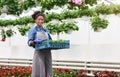 Planting flowers in greenhouse. Woman in apron holds box with sprouts, around her many flowers in pots