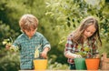 Planting flowers in pot. Carefree childhood. Shovel Planting flowers. American kids on farm.