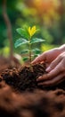 Planting hope Hands nurturing young trees for a greener future