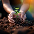 Planting hope Hands nurturing young trees for a greener future