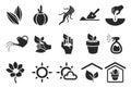 Planting Icons