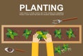 Planting illustration. Planting concept. Flat design illustration concepts for working, farming, harvesting, gardening