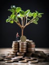 planting leaf cash money tree with gold coins as an business investment illustration