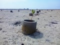 Planting mangrove trees on Pagerungan beach 2