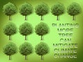 Planting more trees can mitigate climate change - concept with trees series