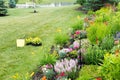 Planting new flowers in a spring garden Royalty Free Stock Photo