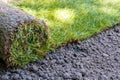 Sod grass roll ready for installation Royalty Free Stock Photo