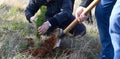 Planting new tree Royalty Free Stock Photo