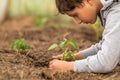 Close-up, a seedling in the hands of a child. environment. Earth Day Royalty Free Stock Photo