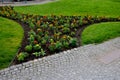 Planting perennials in flower beds. annual rebates are various crescent trees cut between the terrain waves of the lawn mower that Royalty Free Stock Photo