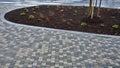 Planting perennials in the flowerbed in a transport growing pot. the gardener mulches with lava brown gravel which prevents the gr Royalty Free Stock Photo