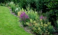 Planting perennials in the flowerbed in a transport growing pot. the gardener mulches with lava brown gravel which prevents the gr Royalty Free Stock Photo