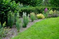 Planting perennials in the flowerbed in a transport growing pot. the gardener mulches with lava brown gravel which prevents the gr Royalty Free Stock Photo