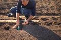 Planting potato in a hole