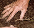 Planting Potatoes 2