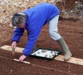 planting potatos Royalty Free Stock Photo