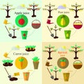 Planting process set and juice flat vector, set