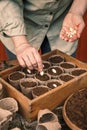 Planting pumpkin seeds for germination into biodegradable peat pots Royalty Free Stock Photo