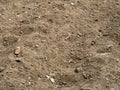 Soil, tilth. Background.