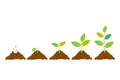 Planting seed sprout in ground. Infographic sequence grow sapling. Seedling gardening tree. Icon, flat isolated on white Royalty Free Stock Photo
